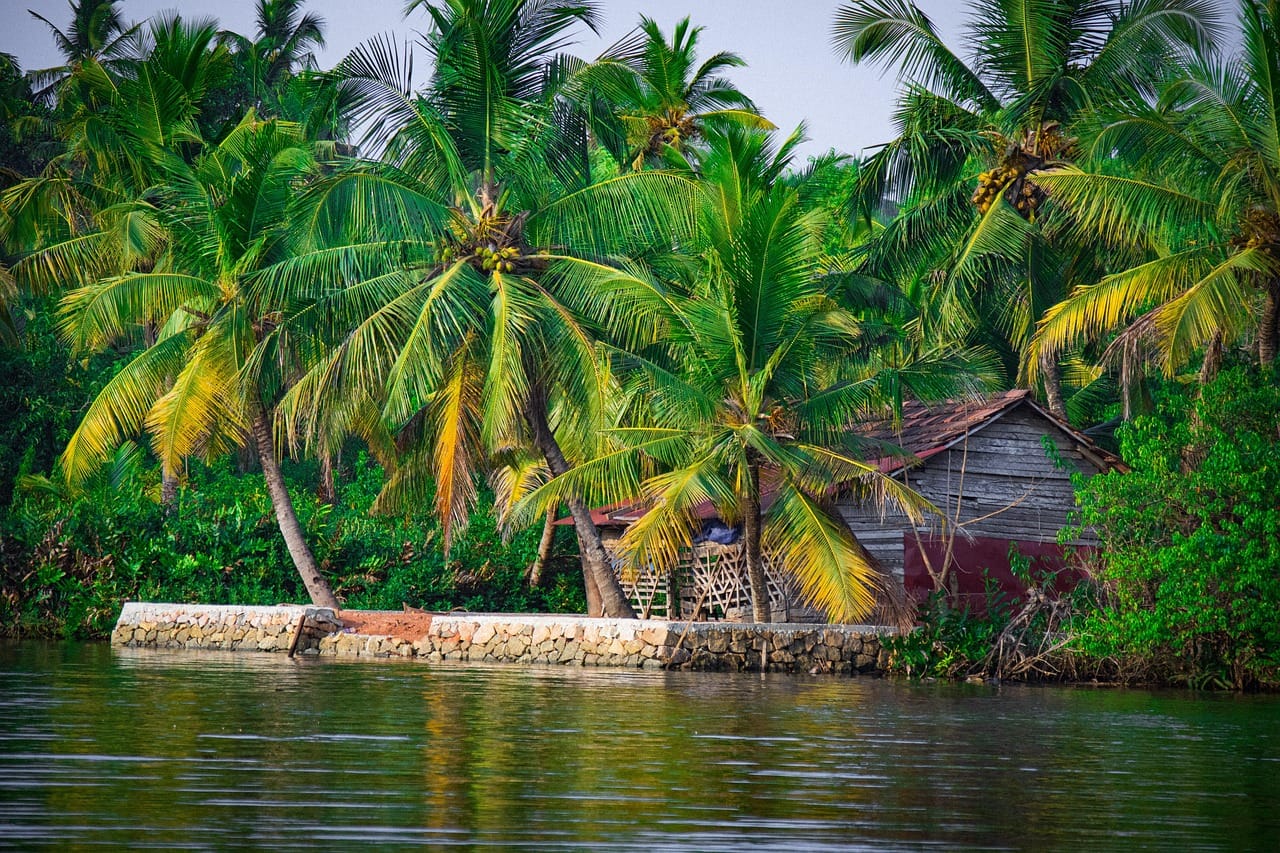 7 days kerala private tours