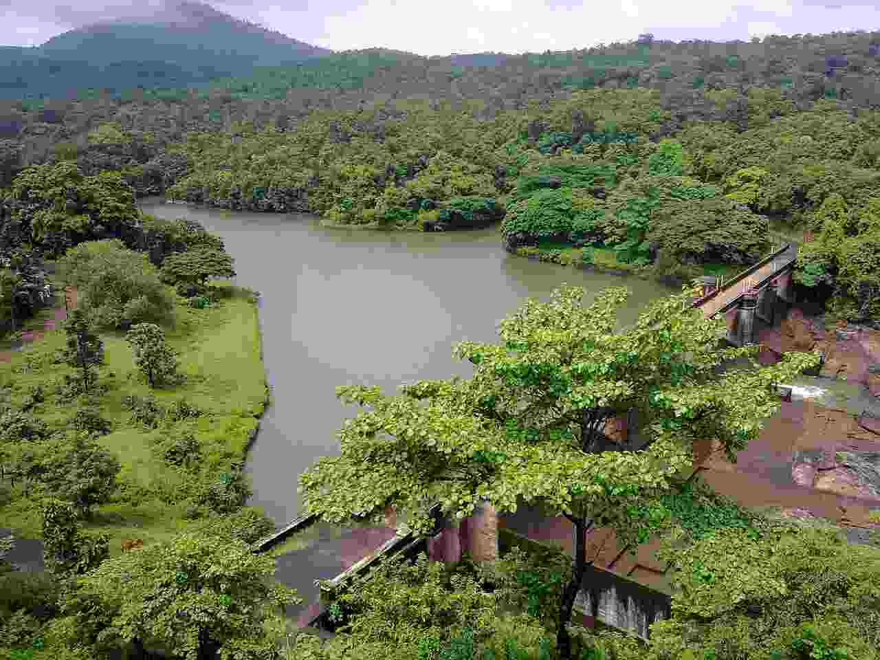 7 days Private Kerala Tour from Kochi