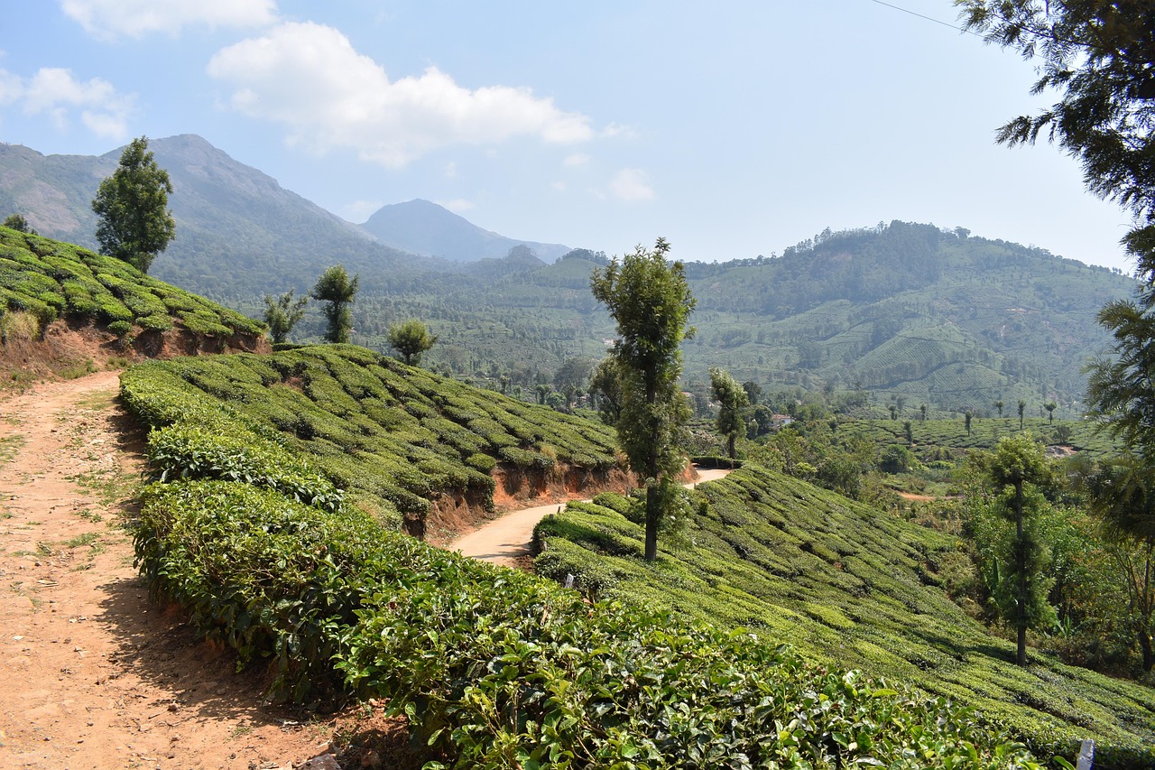 kerala backwater tour