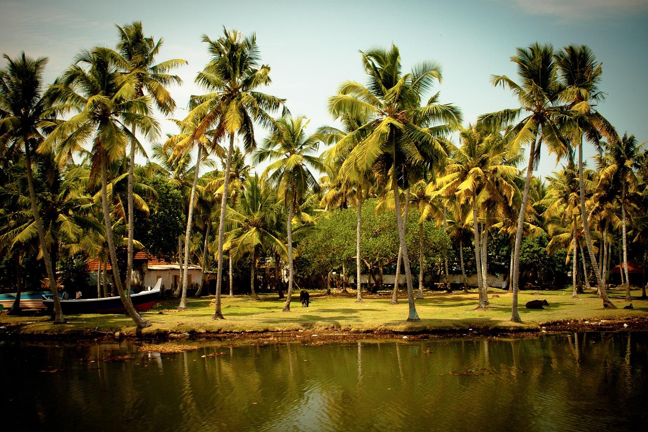 kerala backwater packages