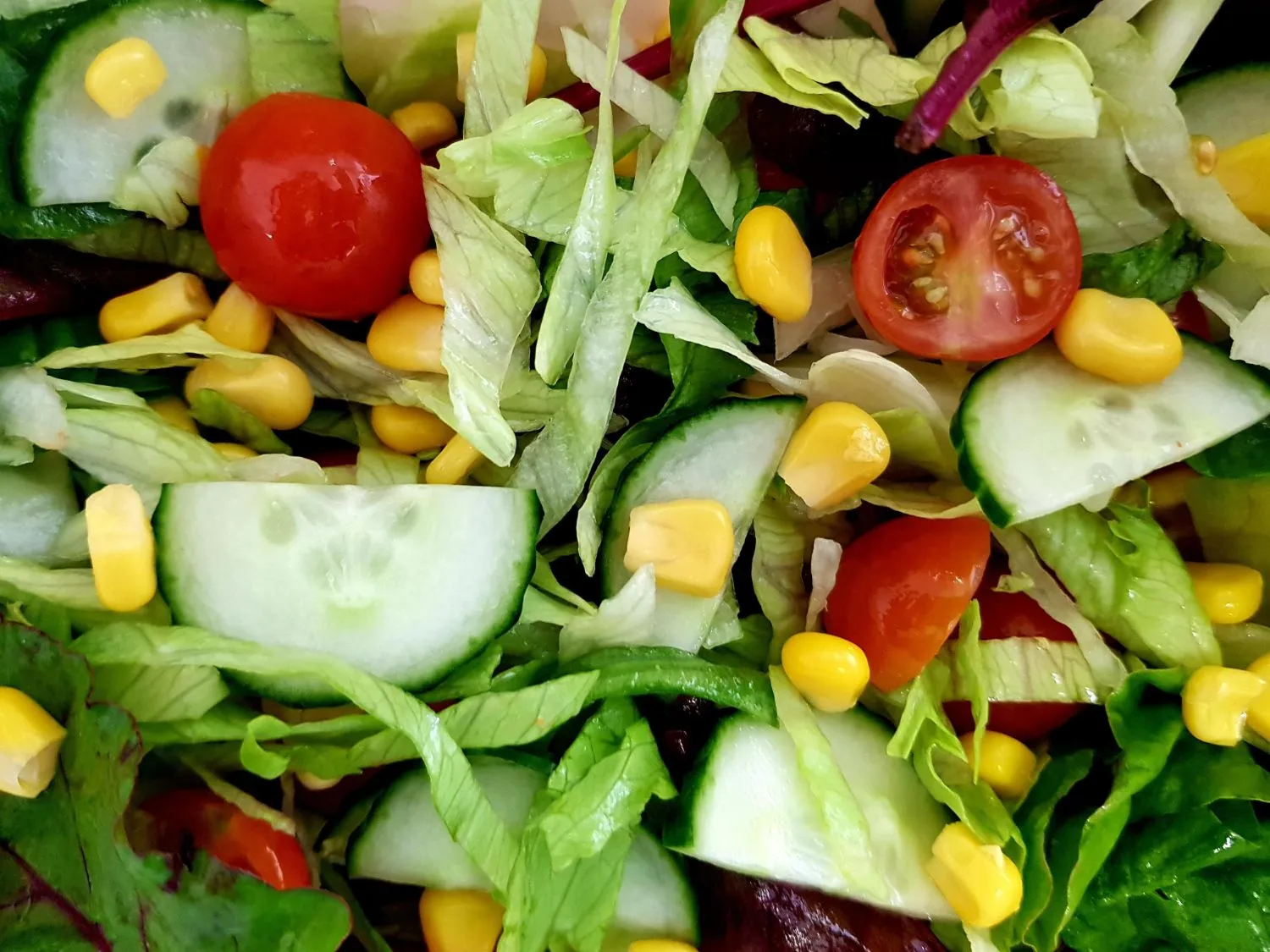 Top salads Los Angeles
