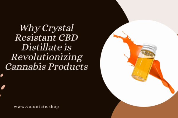 Why Crystal Resistant CBD Distillate is Revolutionizing Cannabis Products crystal resistant cbd distillate